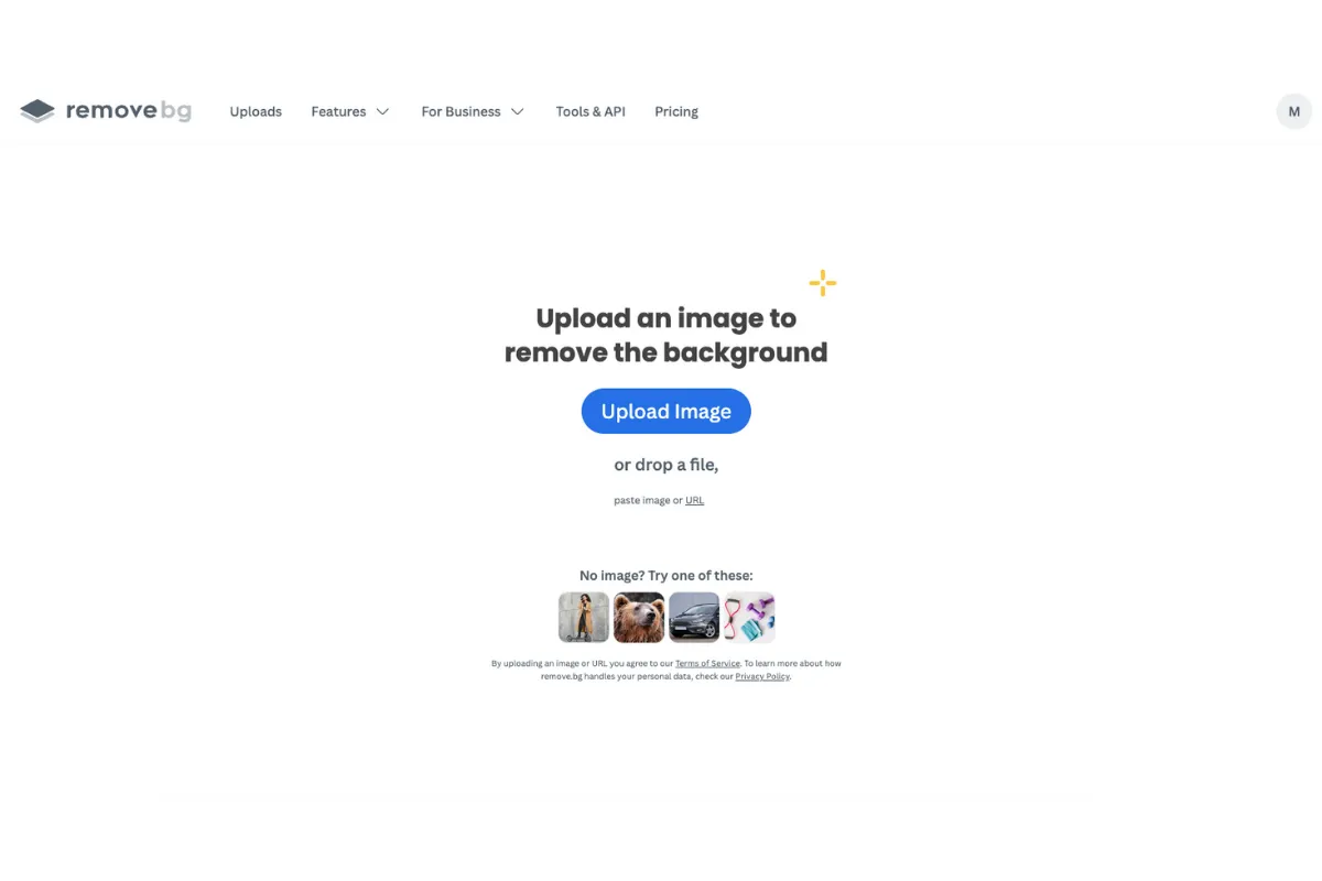 Remove.bg enterprise-grade AI background removal platform interface showing instant 5-second processing workflow