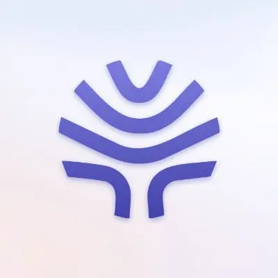 Willow Voice dictation