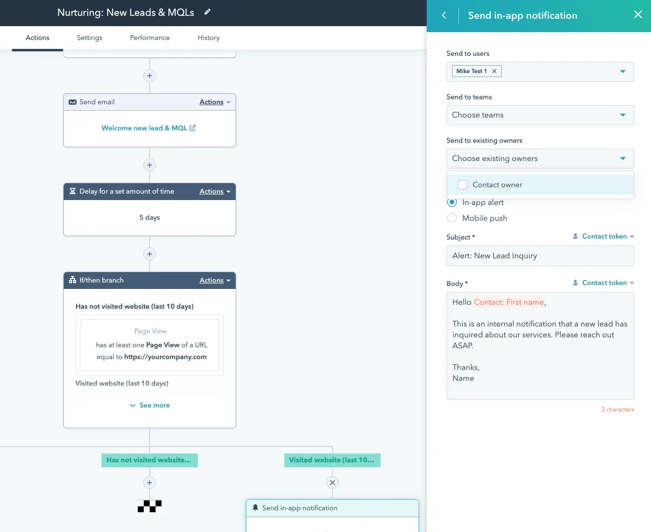 HubSpot workflow automation for lead nurturing with if/then branches