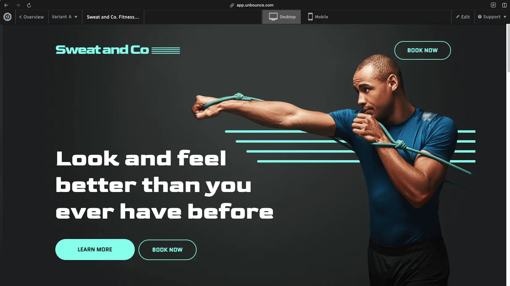 Unbounce desktop preview mode showing finished landing page